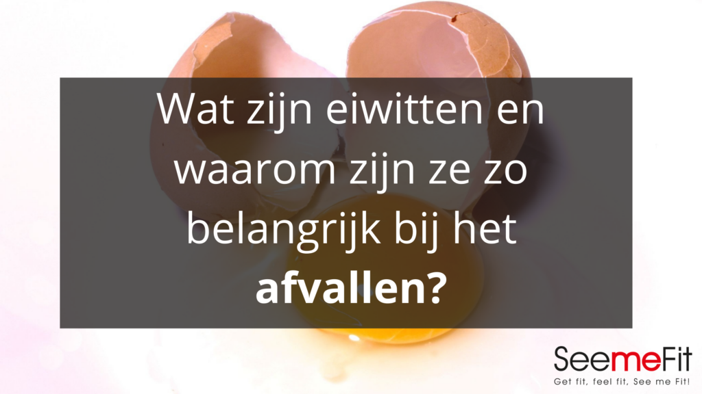 Wat zijn eiwitten?
